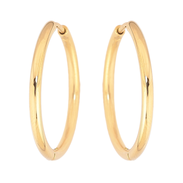 Сережки Xuping TTM Stainless Steel колір 14К кільця (конго) класика ø 2.4см фото №20 Сережки Xuping TTM Stainless Steel колір 14К кільця (конго) класика ø 2.4см фото №20