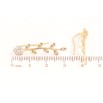 Сережки Xuping колір позолота 18K клаймбери гілочки з кристальними квіточками фото №2