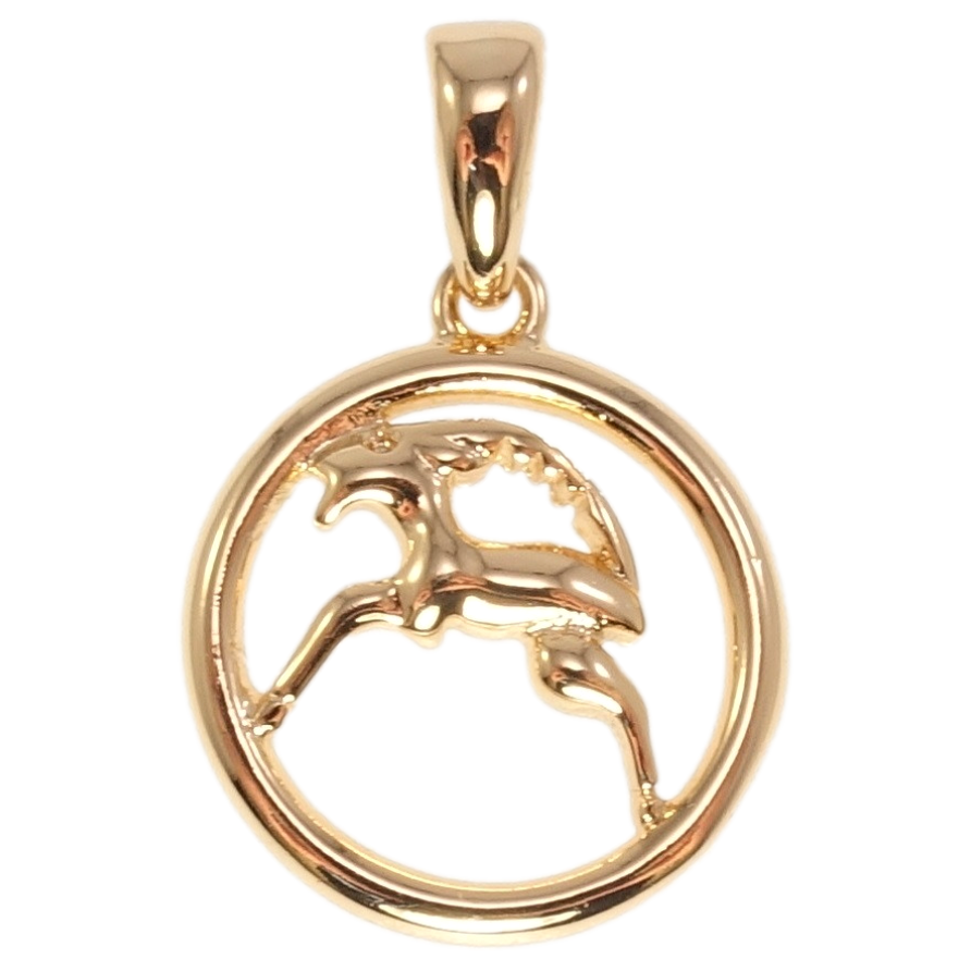 Кулон Fallon Позолота 18K Знак Зодіаку Козеріг фото №1 Кулон Fallon Позолота 18K Знак Зодіаку Козеріг фото №1