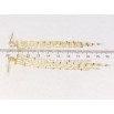 Серьги Xuping JEAN GOUJON Позолота 14K пусеты Декоративные подвески из цепочек фото №2