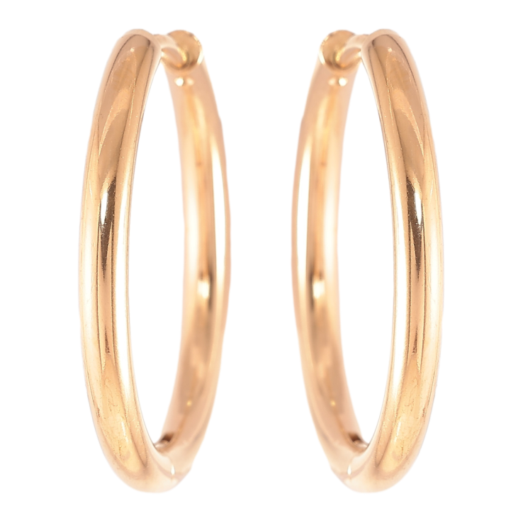 Серьги Xuping TTM Stainless Steel цвет 18K колечки Классика, шир. 2.4мм ø 25мм фото №12