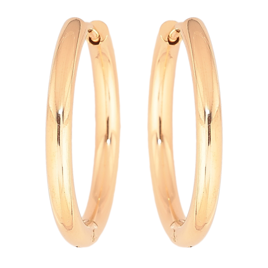 Серьги Xuping TTM Stainless Steel цвет 18K колечки Классика, шир. 2.5мм ø 23мм фото №1