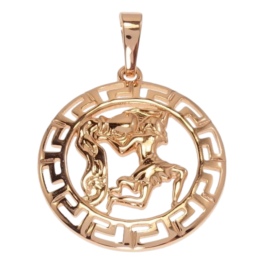 Кулон Xuping Позолота РВ Круглий Медальйон Знак Зодіаку Водолій з меандровим візерунком фото №1 Кулон Xuping Позолота РВ Круглий Медальйон Знак Зодіаку Водолій з меандровим візерунком фото №1