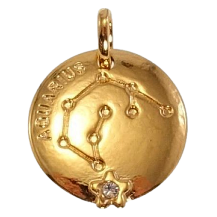 Кулон Xuping Позолота 18 К Круглий Двосторонній Медальйон Знак Зодіаку Водолій фото №12 Кулон Xuping Позолота 18 К Круглий Двосторонній Медальйон Знак Зодіаку Водолій фото №12